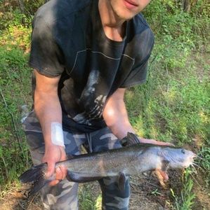 Meet your Posher, Chloe